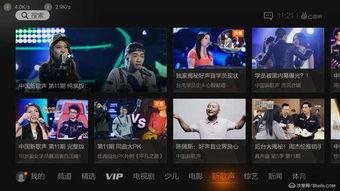 国产青草视频免观看视频,轻松免观看，畅享精彩瞬间